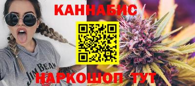 Альфа ПВП Аргун
