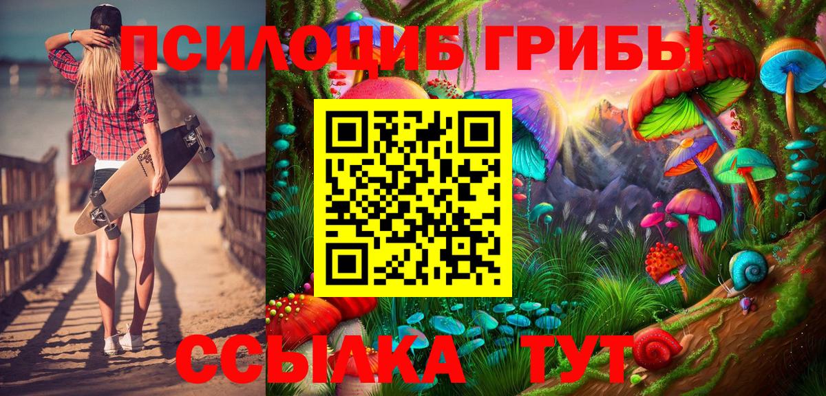 Псилоцибиновые грибы мухоморы  Псилоцибиновые грибы прущие грибы  Вышний Волочёк  где продают   Вход с VPN 