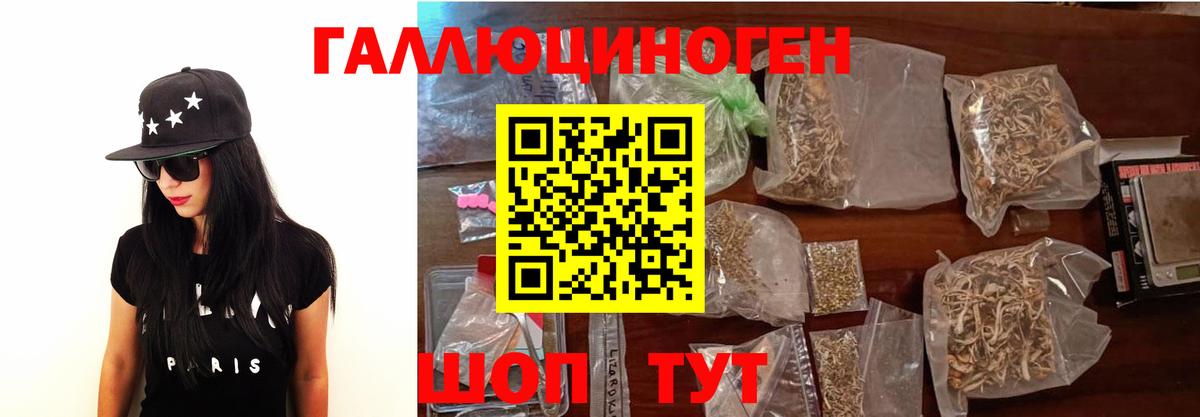 Псилоцибиновые грибы мицелий Вышний Волочёк